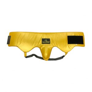 groin guard for boxing - gold