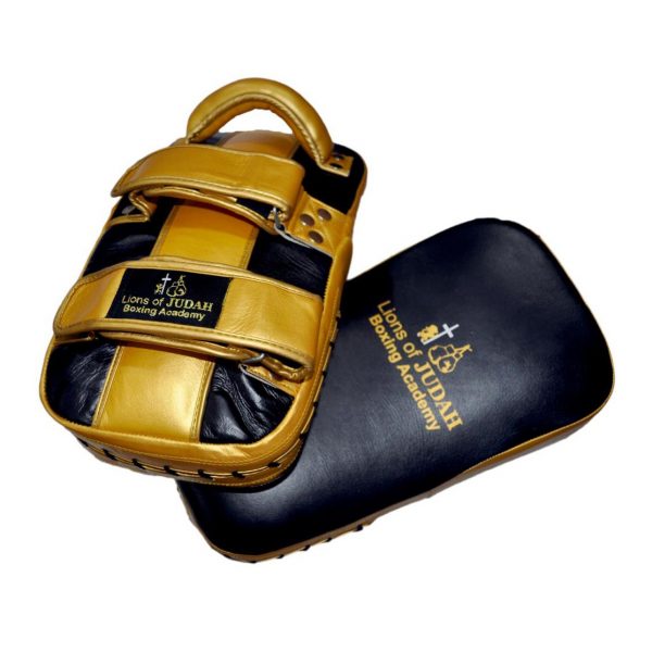 boxing and kickboxing pads - black and gold
