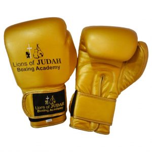 boxing gloves for adults - gold colour